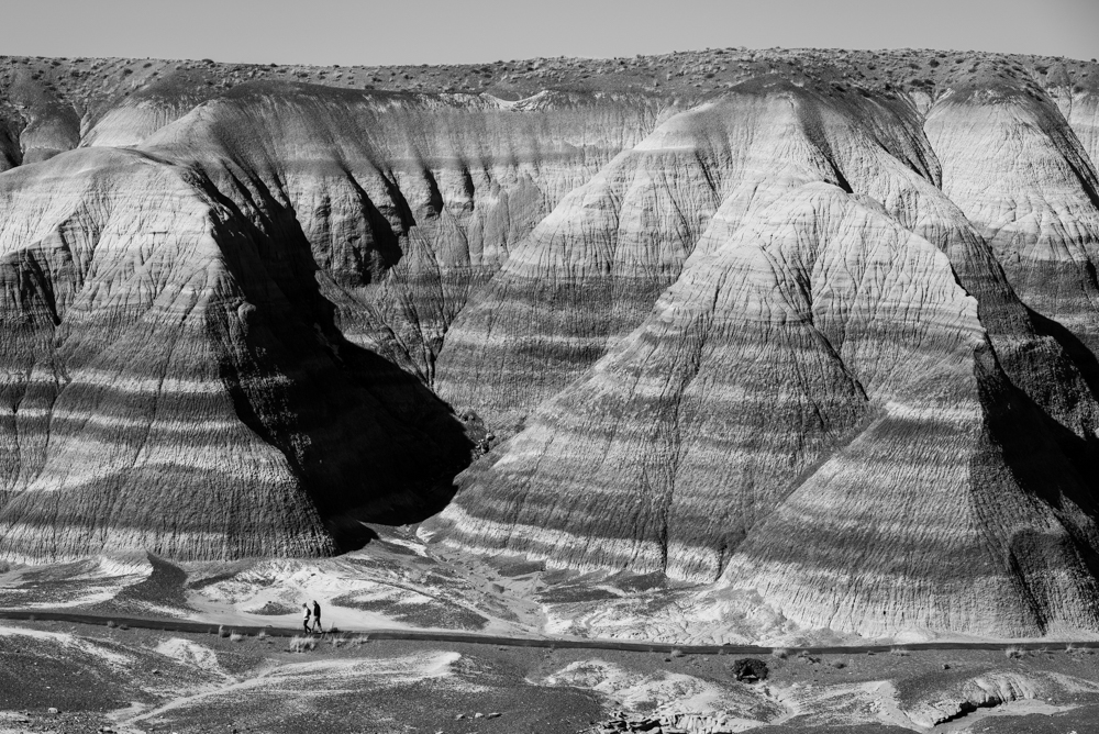 Petrified Forest National Park